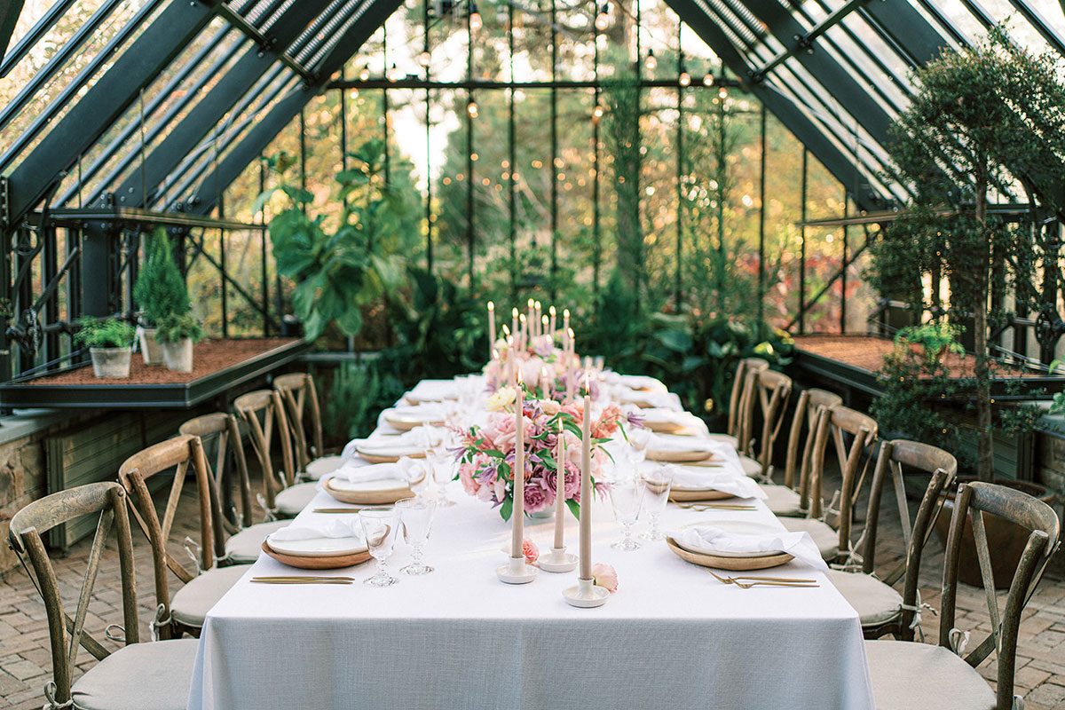 Table setting in greenhouse