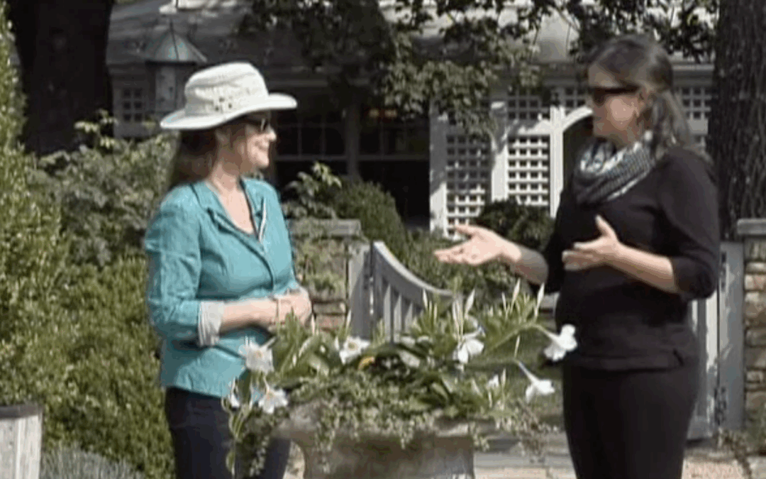 Featured on Virginia Home Grown